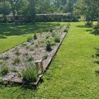Plantation et entretien