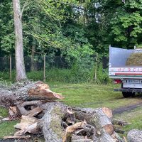 Débitage d'un arbre tombé