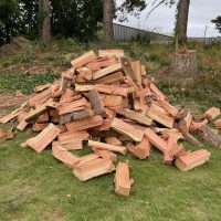 Abattage et fendage - buches