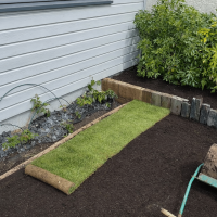 Installation de rouleaux de gazon naturel