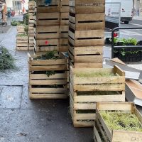 Livraisons de végétaux